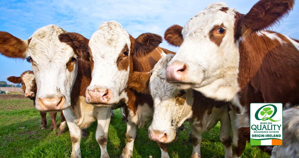 Ashbourne Meat Processors Animal Welfare